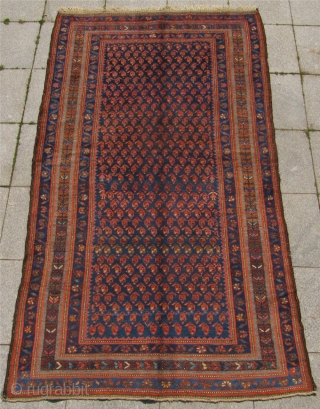 Antique Kurdish Kolyai rug from West-Persia, Hamadan region. Late 19th century. Wool foundation. Good condition with full pile. Size : ca 230cm x 130 cm (7'6''ft x 4'3''ft)     