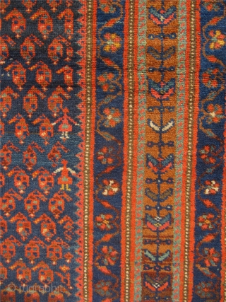 Antique Kurdish Kolyai rug from West-Persia, Hamadan region. Late 19th century. Wool foundation. Good condition with full pile. Size : ca 230cm x 130 cm (7'6''ft x 4'3''ft)     