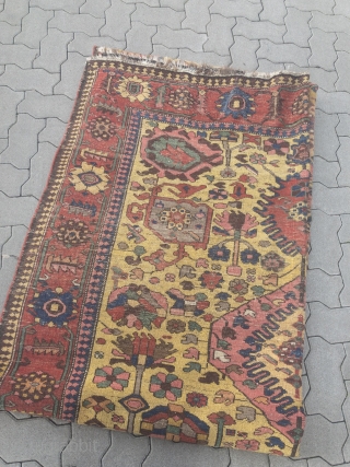 Antique Persian Bakhtiary tribal rug woven on wool foundation. Age: 19th century. Shiny wool and beautiful natural colors, size: circa 390x174cm / 12'8''ft x 5'7''ft        