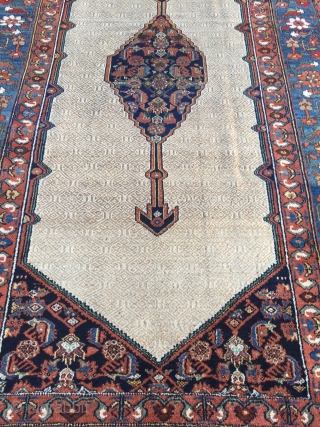 Antique Persian Hamedan carpet with a beautiful camel ground color, very decorative, good condition. Size: ca. 365x210cm / 12ft x 6'9''ft            