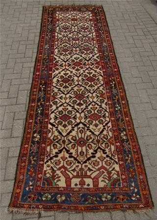 White ground Bakhtiary long rug. One of the most beautiful Bakhtiary´s I have ever seen. Circa 1880. Wool pile on wool foundation. Excellent drawing, great wool quality and beautiful colors. Good overall  ...