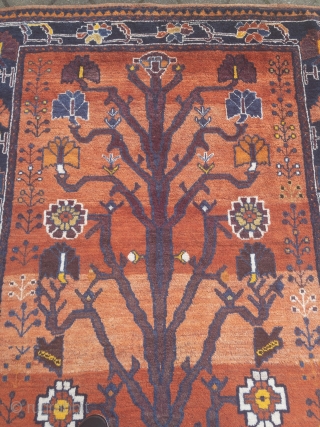 Gabbeh rug from Southpersia, beautiful drawing. Size: 210x160cm / 6'9''ft x 5'3''ft , age: circa 80 years old               