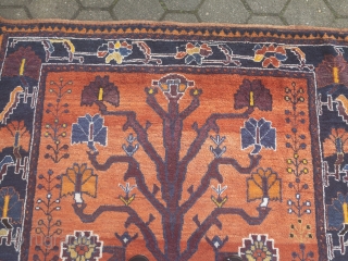 Gabbeh rug from Southpersia, beautiful drawing. Size: 210x160cm / 6'9''ft x 5'3''ft , age: circa 80 years old               