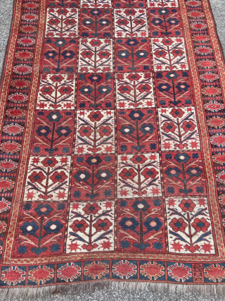 Antique Turkmen Beshir carpet, age: circa 1850. Origin: Amu Darya region.  Beautiful tree design with red and white field. Size: ca. 305x145cm / 10ft by 4’8ft http://www.najib.de     