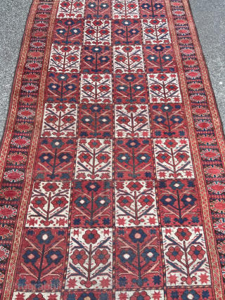 Antique Turkmen Beshir carpet, age: circa 1850. Origin: Amu Darya region.  Beautiful tree design with red and white field. Size: ca. 305x145cm / 10ft by 4’8ft http://www.najib.de     
