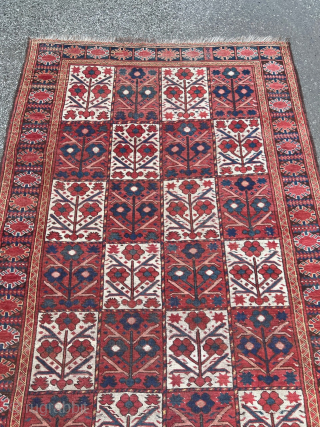 Antique Turkmen Beshir carpet, age: circa 1850. Origin: Amu Darya region.  Beautiful tree design with red and white field. Size: ca. 305x145cm / 10ft by 4’8ft http://www.najib.de     
