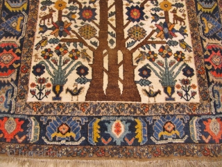 Antique Neiriz tree of life rug from Southpersia. Such a finely drawn design is very unusual for a tribal rug. Size: 156x123cm / 5'2''ft x 4'1''ft, very good condition, age: circa 1900.  ...