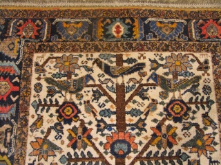 Antique Neiriz tree of life rug from Southpersia. Such a finely drawn design is very unusual for a tribal rug. Size: 156x123cm / 5'2''ft x 4'1''ft, very good condition, age: circa 1900.  ...