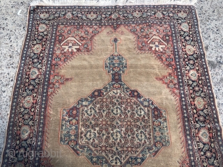 Fine antique Persian Senneh rug, beautiful camel ground color. Inscriptions inside the minor border, size: 200x130cm / 6'6''ft x 4'3''ft             