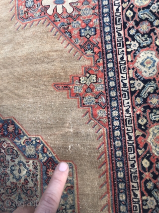 Fine antique Persian Senneh rug, beautiful camel ground color. Inscriptions inside the minor border, size: 200x130cm / 6'6''ft x 4'3''ft             