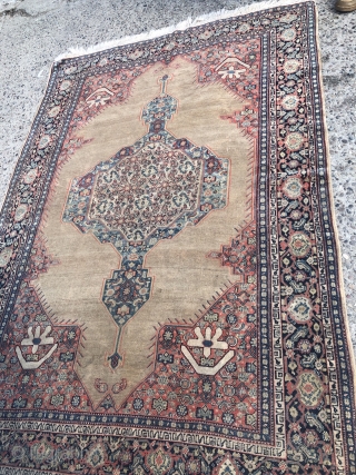 Fine antique Persian Senneh rug, beautiful camel ground color. Inscriptions inside the minor border, size: 200x130cm / 6'6''ft x 4'3''ft             