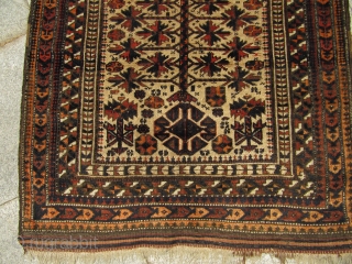 Antique camel ground Baluch prayer rug. 19th century. Fine drawing. Nice collector´s piece. Size: ca 160cm x 90cm ( 5'3'' x 3' )          