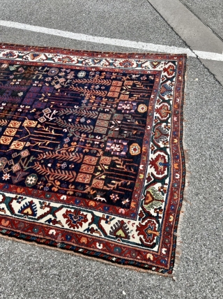 A beautiful antique Persian Luri Bakhtiary tribal rug from the 19th century, size: 320x175cm / 10’5ft by 5’8ft               