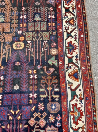 A beautiful antique Persian Luri Bakhtiary tribal rug from the 19th century, size: 320x175cm / 10’5ft by 5’8ft               