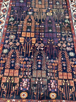 A beautiful antique Persian Luri Bakhtiary tribal rug from the 19th century, size: 320x175cm / 10’5ft by 5’8ft               