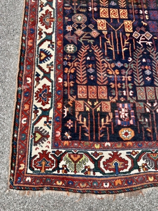 A beautiful antique Persian Luri Bakhtiary tribal rug from the 19th century, size: 320x175cm / 10’5ft by 5’8ft               