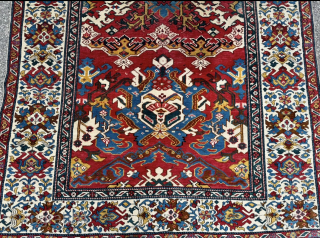 Beautiful antique Caucasian Shirvan rug, age: 19th century. Size: ca. 195x135cm / 6,4ft by 4,4ft http://www.najib.de                 