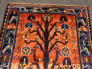 Gabbeh tribal rug from Southpersia, very well executed tree design. Size: 210x160cm / 6'9''ft x 5'3''ft , age: circa 80 years old           