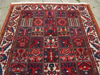 Just out of a North-German estate: Antique Persian Bakhtiary rug, circa 1920. Size: ca 305x220cm / 10'1'' x 7'2''              