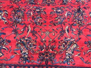 Oversize antique Persian Bakhtiary rug with lots of parrots and birds, large size: ca. 630x400cm / 20'7''ft x 13'2''ft              