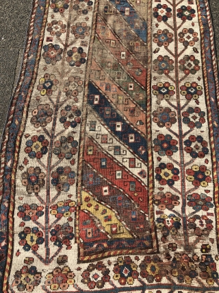 Antique Caucasian rug from an old German collection, good age, very nice colors and beautiful tree border. Age: 19th century. Size: ca. 227x111cm / 7'4''ft x 3'7''ft some condition problems but still  ...