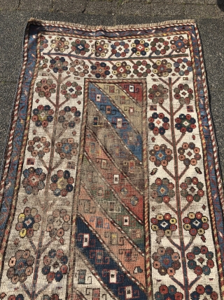 Antique Caucasian rug from an old German collection, good age, very nice colors and beautiful tree border. Age: 19th century. Size: ca. 227x111cm / 7'4''ft x 3'7''ft some condition problems but still  ...
