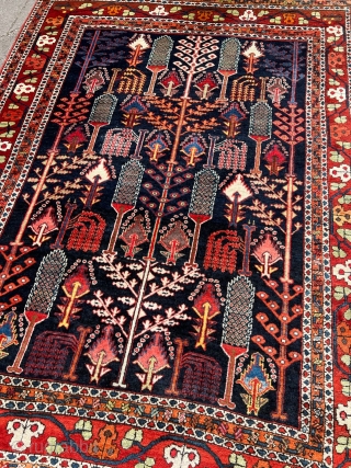 Antique Persian Bakhtiary rug with a so called Bid Majnun design of Cypress and Willow trees on a navy blue field. Size ca. 200x150cm / 6’6ft by 4’9ft http://www.najib.de    