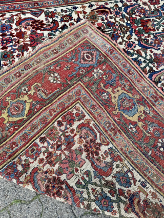 Antique Persian Bidjar Gerrus rug, circa 150 years old. Beautiful ivory field color. Wool foundation. Size circa 335x175cm / 11ft by 5,8ft http://www.najib.de          