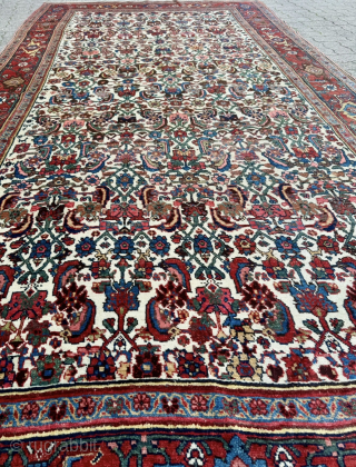 Antique Persian Bidjar Gerrus rug, circa 150 years old. Beautiful ivory field color. Wool foundation. Size circa 335x175cm / 11ft by 5,8ft http://www.najib.de          
