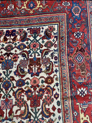 Antique Persian Bidjar Gerrus rug, circa 150 years old. Beautiful ivory field color. Wool foundation. Size circa 335x175cm / 11ft by 5,8ft http://www.najib.de          