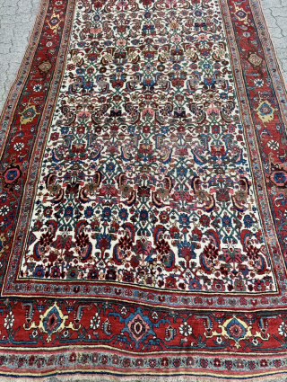 Antique Persian Bidjar Gerrus rug, circa 150 years old. Beautiful ivory field color. Wool foundation. Size circa 335x175cm / 11ft by 5,8ft http://www.najib.de          