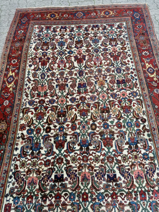 Antique Persian Bidjar Gerrus rug, circa 150 years old. Beautiful ivory field color. Wool foundation. Size circa 335x175cm / 11ft by 5,8ft http://www.najib.de          