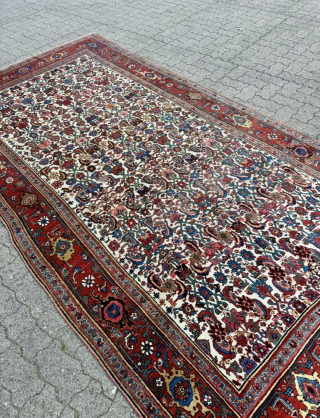 Antique Persian Bidjar Gerrus rug, circa 150 years old. Beautiful ivory field color. Wool foundation. Size circa 335x175cm / 11ft by 5,8ft http://www.najib.de          