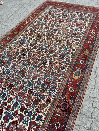Antique Persian Bidjar Gerrus rug, circa 150 years old. Beautiful ivory field color. Wool foundation. Size circa 335x175cm / 11ft by 5,8ft http://www.najib.de          