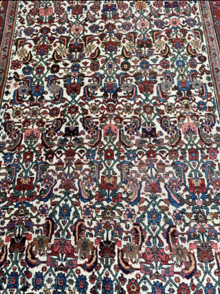 Antique Persian Bidjar Gerrus rug, circa 150 years old. Beautiful ivory field color. Wool foundation. Size circa 335x175cm / 11ft by 5,8ft http://www.najib.de          