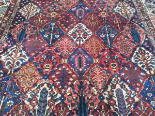 Large antique Persian Bakhtiary carpet with garden design from the 1920´s, very decorative. Size: ca. 505x350cm / 16'6'' x 11'5'' ft www.najib.de           