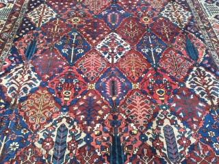 Large antique Persian Bakhtiary carpet with garden design from the 1920´s, very decorative. Size: ca. 505x350cm / 16'6'' x 11'5'' ft www.najib.de           