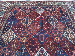 Large antique Persian Bakhtiary carpet with garden design from the 1920´s, very decorative. Size: ca. 505x350cm / 16'6'' x 11'5'' ft www.najib.de           