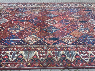 Large antique Persian Bakhtiary carpet with garden design from the 1920´s, very decorative. Size: ca. 505x350cm / 16'6'' x 11'5'' ft www.najib.de           