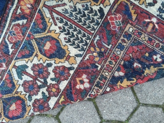 Large antique Persian Bakhtiary carpet with garden design from the 1920´s, very decorative. Size: ca. 505x350cm / 16'6'' x 11'5'' ft www.najib.de           