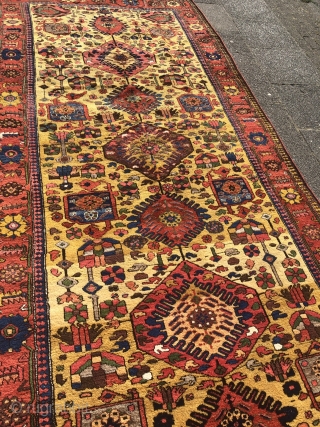 Antique Luri Bakhtiary tribal rug from the 19th century, beautiful yellow ground color, wool foundation. Size: 390x174cm / 12'8''ft x 5'7''ft, good condition.          