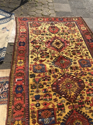 Antique Luri Bakhtiary tribal rug from the 19th century, beautiful yellow ground color, wool foundation. Size: 390x174cm / 12'8''ft x 5'7''ft, good condition.          