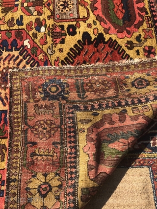 Antique Luri Bakhtiary tribal rug from the 19th century, beautiful yellow ground color, wool foundation. Size: 390x174cm / 12'8''ft x 5'7''ft, good condition.          