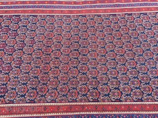 Large antique Afshar tribal rug from Southpersia with a very well drawn Boteh field pattern. Wool foundation, good quality. Size: ca. 305x165cm / 10ft x 5'5''ft some light wear, otherwise good overall  ...