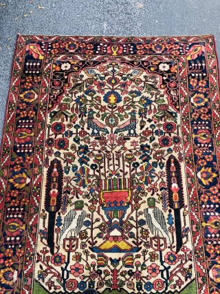 Colorful antique Persian Bakhtiary tree of life rug with birds, size: 195x145cm / 6'4''ft x 4'8''ft                 