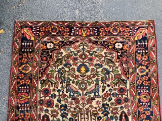 Colorful antique Persian Bakhtiary tree of life rug with birds, size: 195x145cm / 6'4''ft x 4'8''ft                 