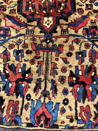 Antique Kurdish Kolyai rug (Wagireh /Sampler rug?) from West-Persia. Size: 195x125cm / 6'4''ft by 4'1''ft good condition                