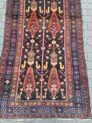 Antique Persian Bakhtiary tree of life rug with birds and animals, age: circa 1920, size: ca. 240x100cm / 7'9''ft x 3'3''ft            