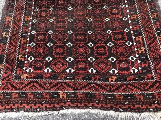 Antique animal Baluch rug, two caravans full of animals surrounding the Mina Khani field. Very charming collector´s piece, size: ca. 185x105cm / 6'1''ft by 3'5''ft        