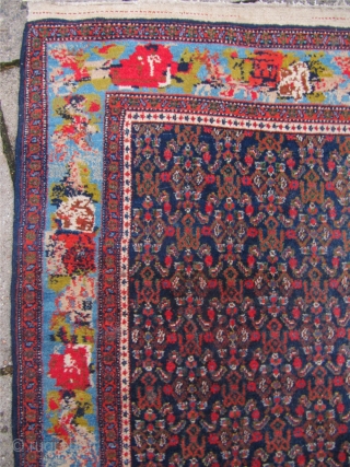 Fine antique Persian Senneh rug with a beautiful border. Size: ca.204x144cm / 6'7'' x 4'7'' Comes out of a German estate            